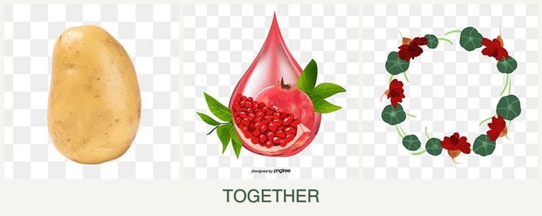Can you plant potatoes, pomegranates and nasturtiums together?