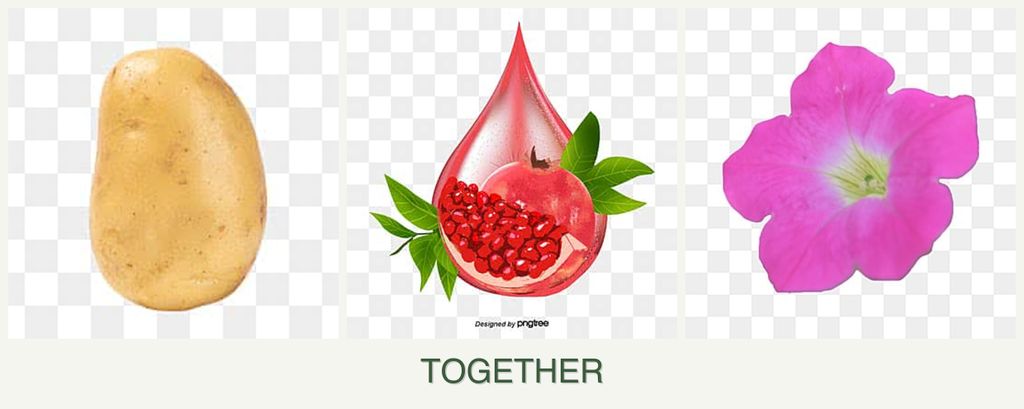 Can you plant potatoes, pomegranates and petunias together?