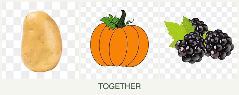 Can you plant potatoes, pumpkin and blackberries together?