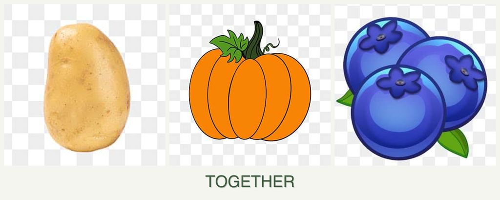 Can you plant potatoes, pumpkin and blueberries together?