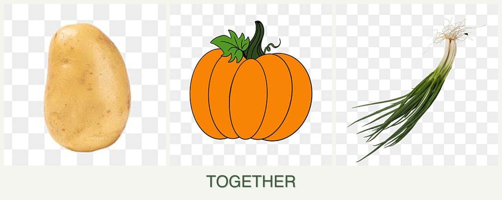 Can you plant potatoes, pumpkin and chives together?
