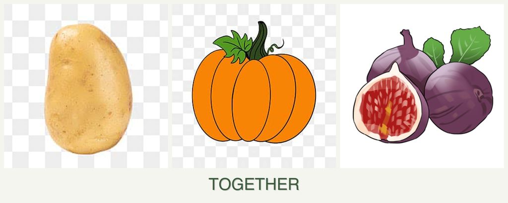 Can you plant potatoes, pumpkin and figs together?
