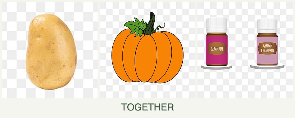 Can you plant potatoes, pumpkin and geraniums together?