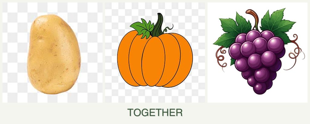 Can you plant potatoes, pumpkin and grapes together?