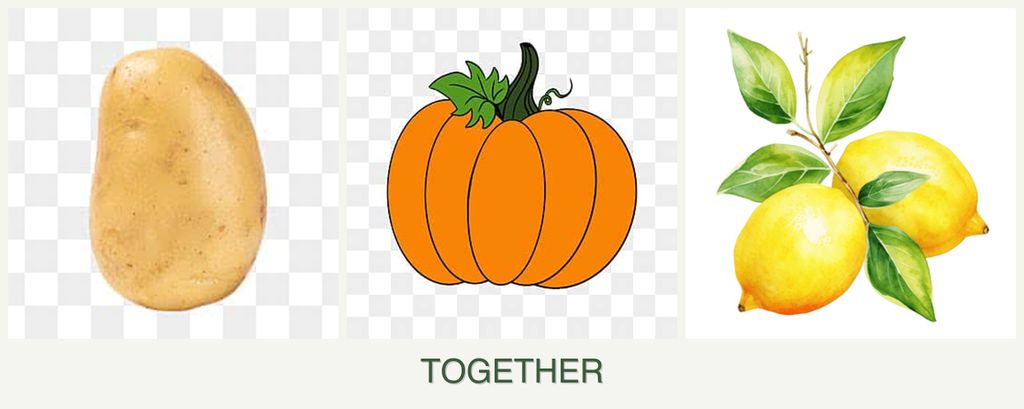 Can you plant potatoes, pumpkin and lemons together?