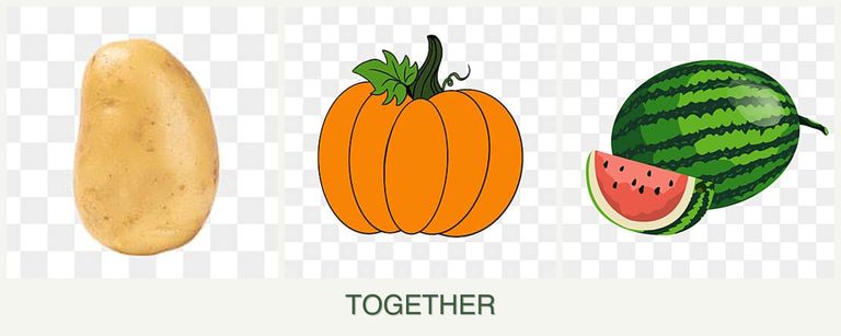 Can you plant potatoes, pumpkin and melons together?
