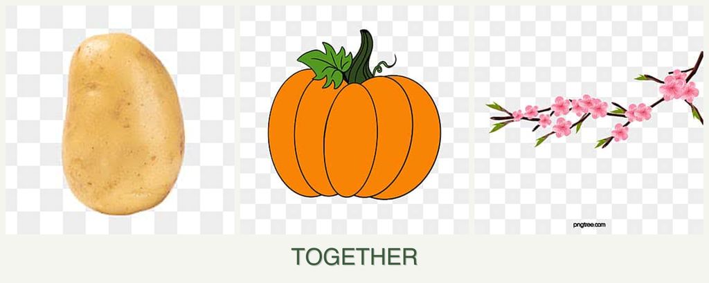 Can you plant potatoes, pumpkin and peaches together?