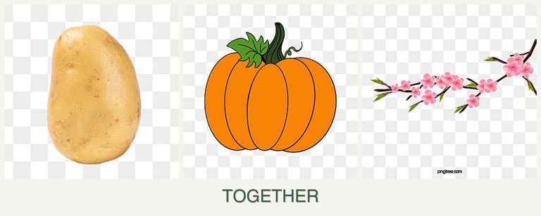 Can you plant potatoes, pumpkin and peaches together?
