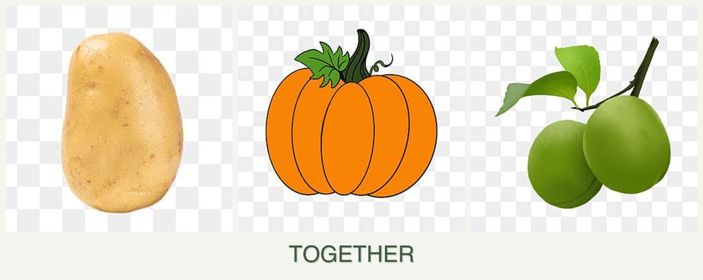 Can you plant potatoes, pumpkin and plums together?