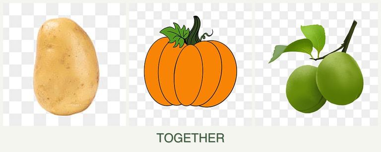 Can you plant potatoes, pumpkin and plums together?