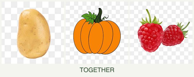 Can you plant potatoes, pumpkin and raspberries together?