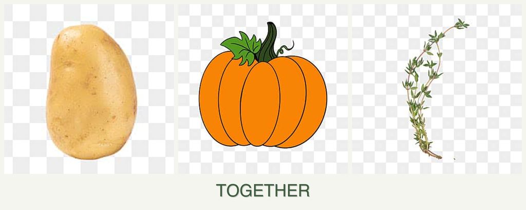 Can you plant potatoes, pumpkin and thyme together?