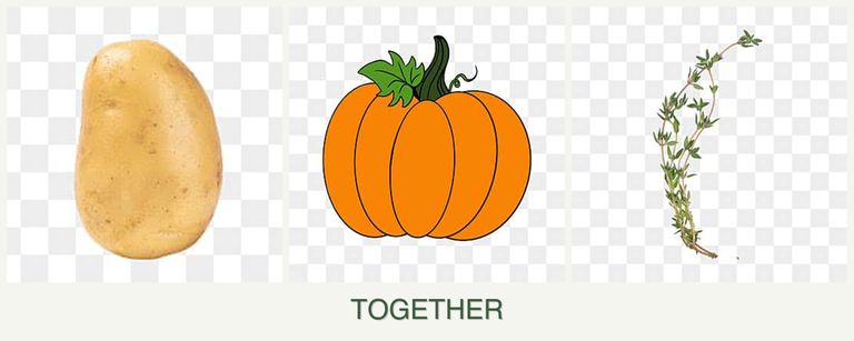 Can you plant potatoes, pumpkin and thyme together?