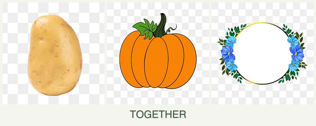 Can you plant potatoes, pumpkin and zinnias together?