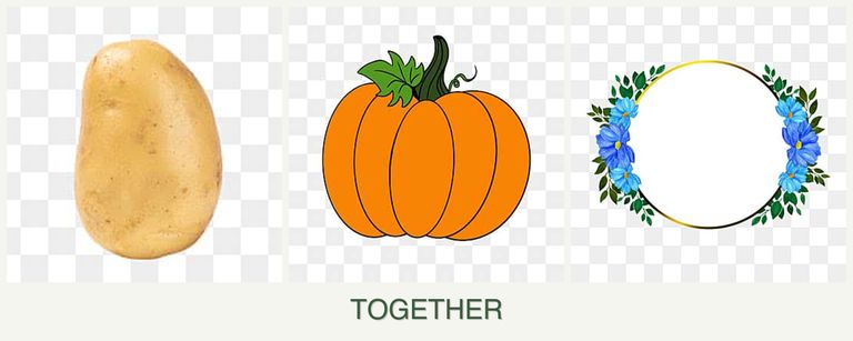 Can you plant potatoes, pumpkin and zinnias together?