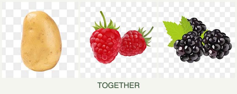 Can you plant potatoes, raspberries and blackberries together?