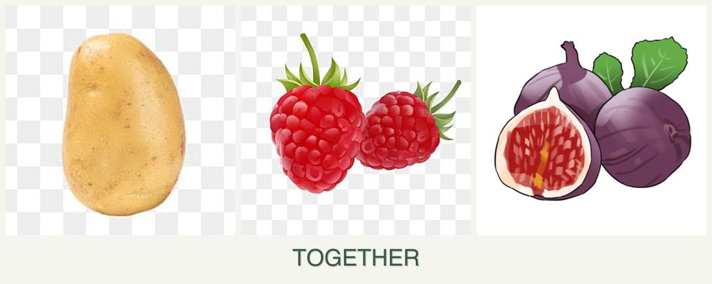 Can you plant potatoes, raspberries and figs together?