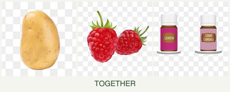 Can you plant potatoes, raspberries and geraniums together?