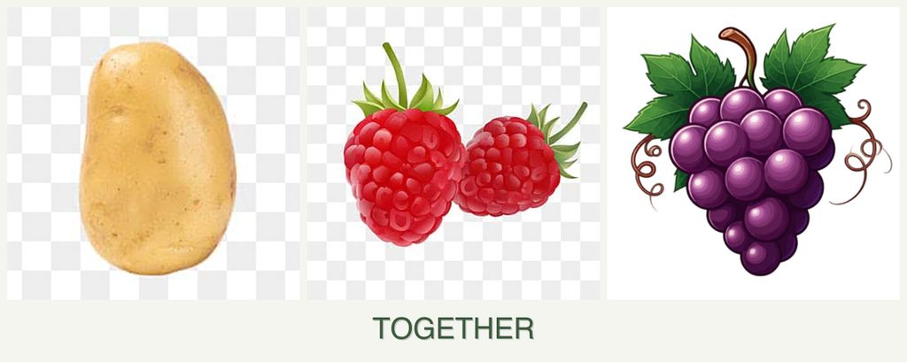 Can you plant potatoes, raspberries and grapes together?