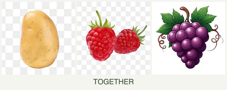 Can you plant potatoes, raspberries and grapes together?