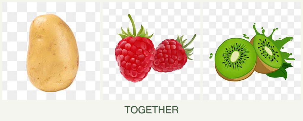 Can you plant potatoes, raspberries and kiwi together?