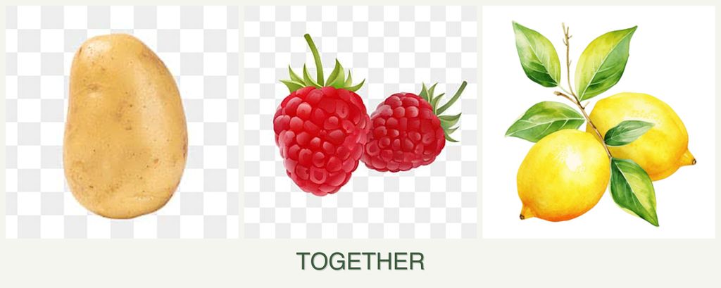 Can you plant potatoes, raspberries and lemons together?