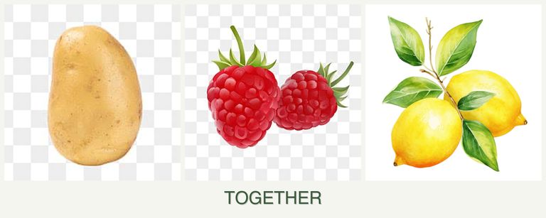 Can you plant potatoes, raspberries and lemons together?
