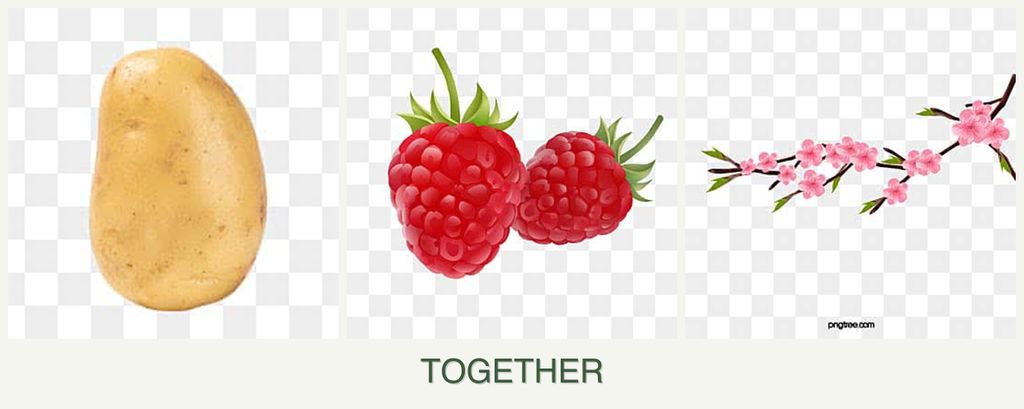 Can you plant potatoes, raspberries and peaches together?
