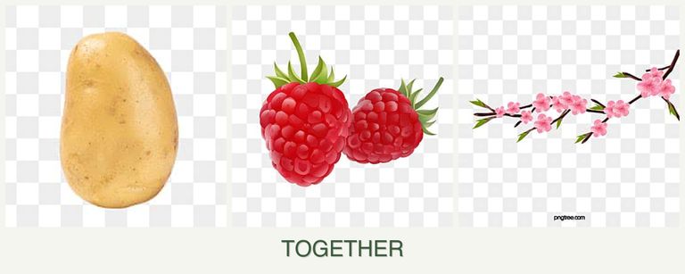Can you plant potatoes, raspberries and peaches together?