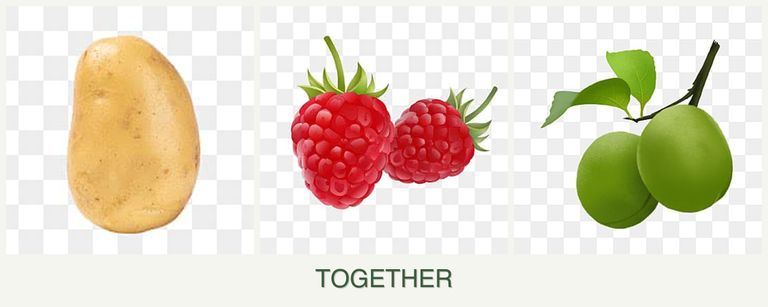 Can you plant potatoes, raspberries and plums together?