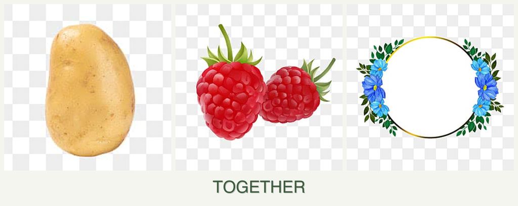 Can you plant potatoes, raspberries and zinnias together?