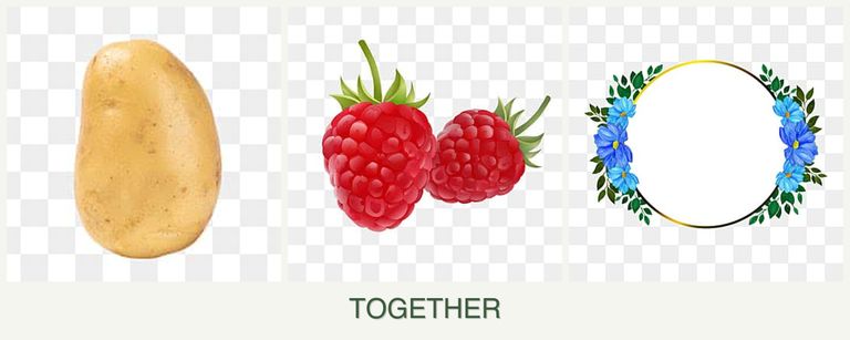 Can you plant potatoes, raspberries and zinnias together?
