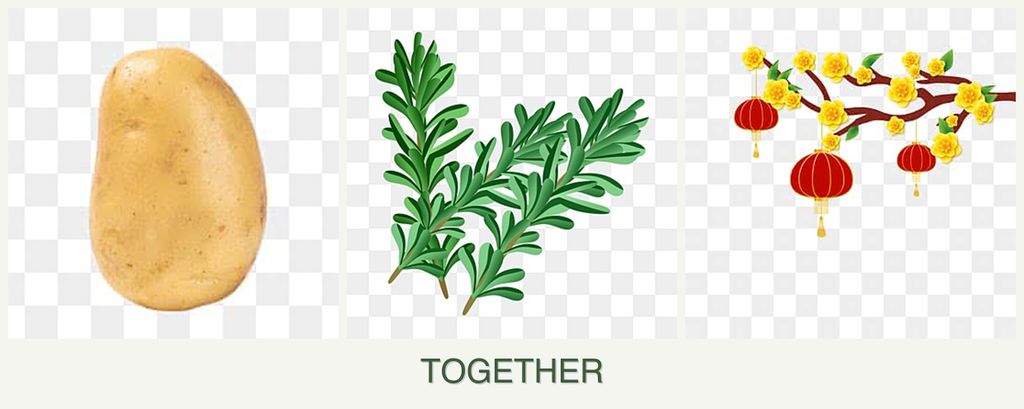Can you plant potatoes, rosemary and apricots together?