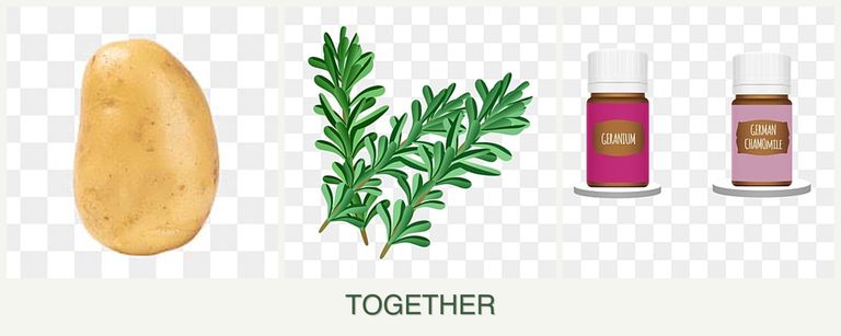 Can you plant potatoes, rosemary and geraniums together?