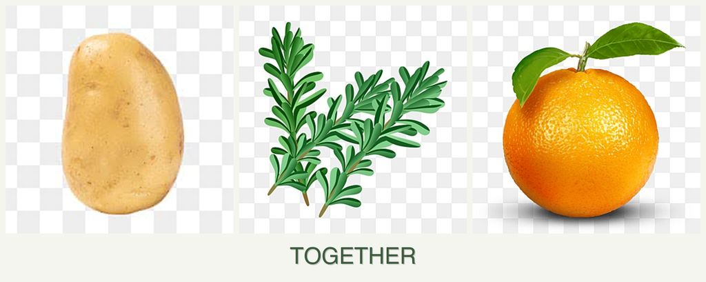 Can you plant potatoes, rosemary and oranges together?