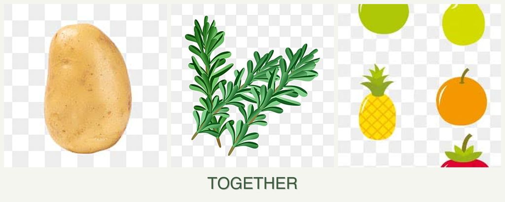 Can you plant potatoes, rosemary and pears together?