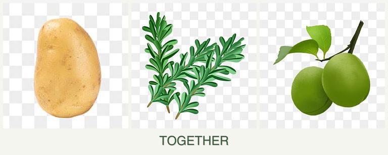 Can you plant potatoes, rosemary and plums together?