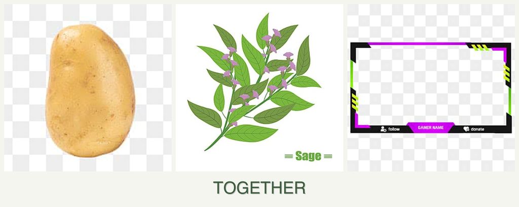 Can you plant potatoes, sage and limes together?