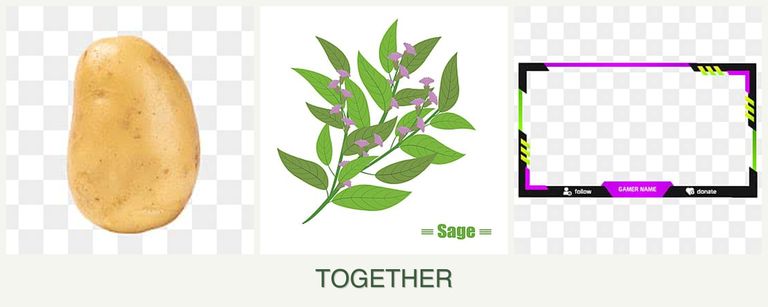Can you plant potatoes, sage and limes together?