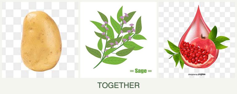 Can you plant potatoes, sage and pomegranates together?