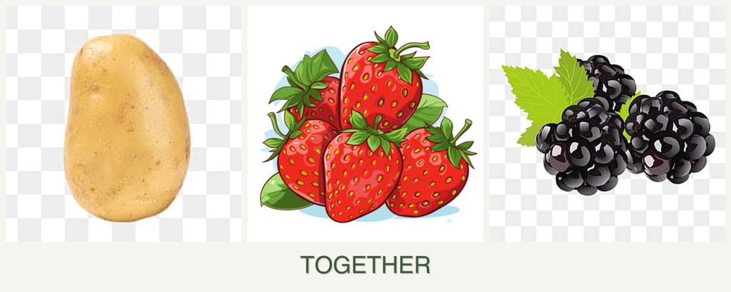 Can you plant potatoes, strawberries and blackberries together?