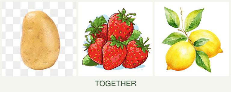 Can you plant potatoes, strawberries and lemons together?