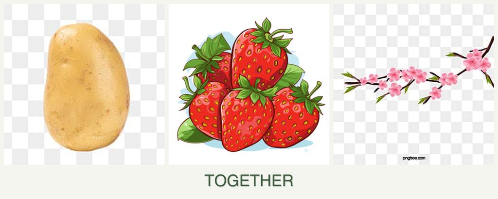 Can you plant potatoes, strawberries and peaches together?