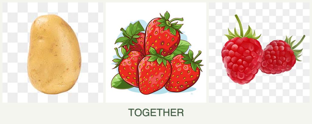 Can you plant potatoes, strawberries and raspberries together?