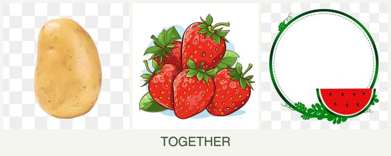 Can you plant potatoes, strawberries and watermelons together?