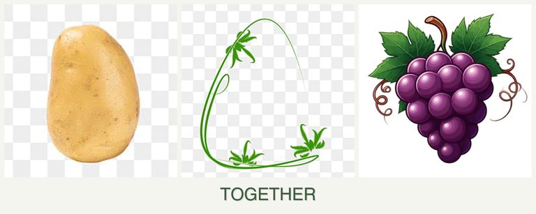 Can you plant potatoes, tarragon and grapes together?