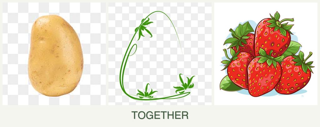Can you plant potatoes, tarragon and strawberries together?