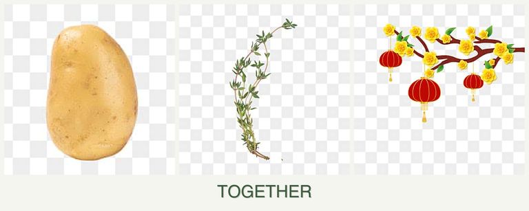 Can you plant potatoes, thyme and apricots together?