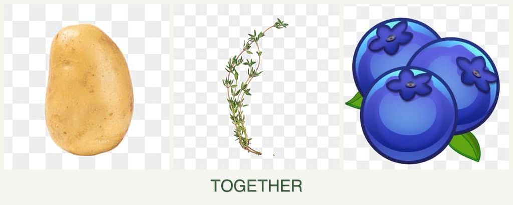 Can you plant potatoes, thyme and blueberries together?