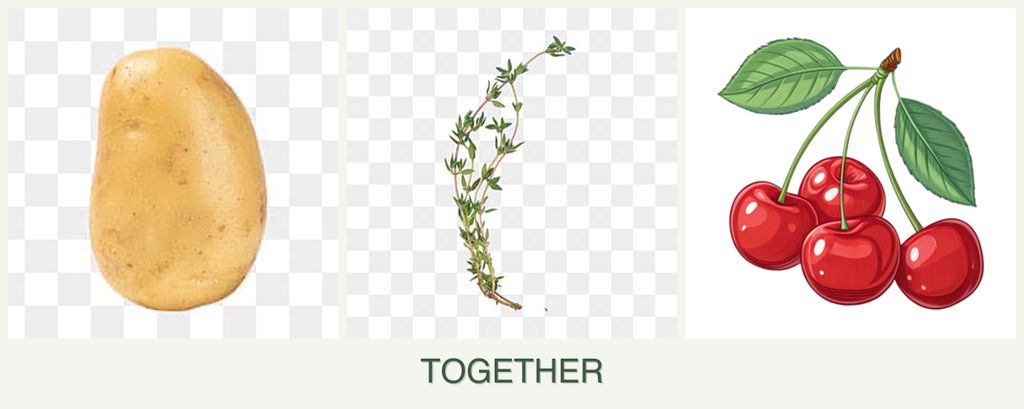 Can you plant potatoes, thyme and cherries together?